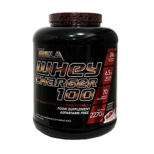 TESLA WHEY CHARGER %100